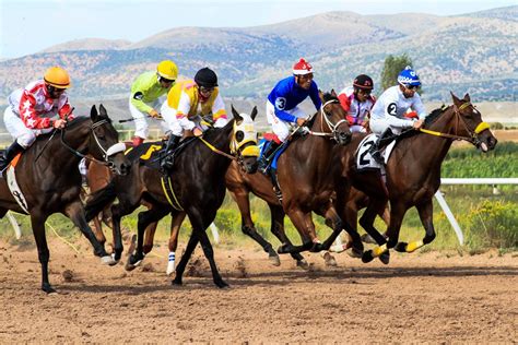 6 Horse Racing Betting Strategies To Master .